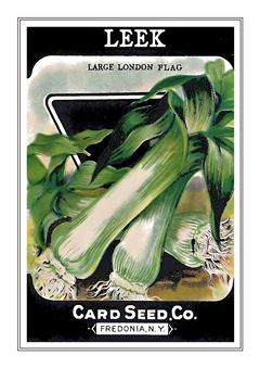 Vegetable Seed Catalogue 013