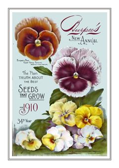 Flower Catalogue 049