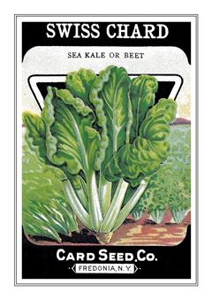 Vegetable Seed Catalogue 014