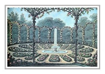 Botanical 047