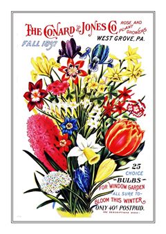 Flower Catalogue 051