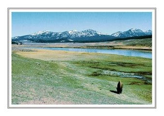 Yellowstone Ntl Park 005
