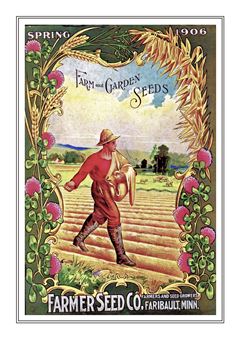 Vegetable Seed Catalogue 016
