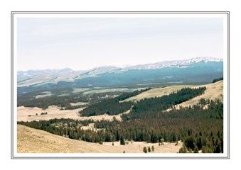 Yellowstone Ntl Park 006