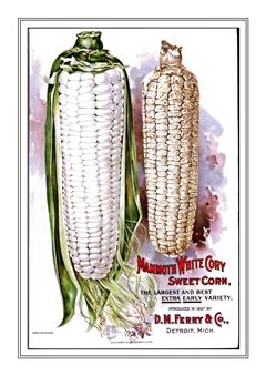 Vegetable Seed Catalogue 017