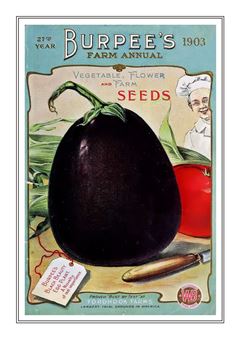 Vegetable Seed Catalogue 020
