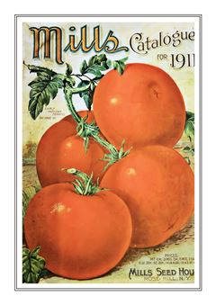 Vegetable Seed Catalogue 022