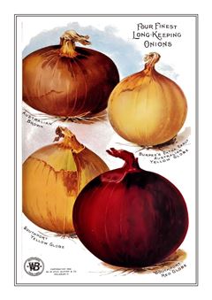 Vegetable Seed Catalogue 025