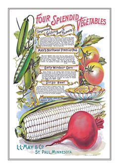 Vegetable Seed Catalogue 026