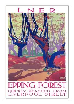 Epping Forest 001