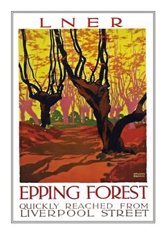 Epping Forest 002