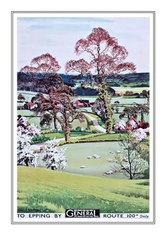 Epping Forest 004