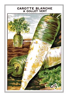 Vegetable Seed Catalogue 028