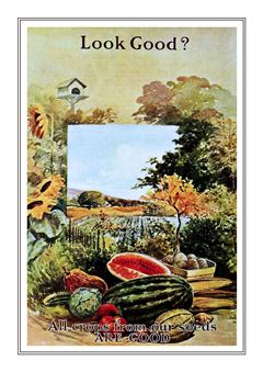 Vegetable Seed Catalogue 034