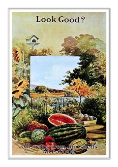 Vegetable Seed Catalogue 034