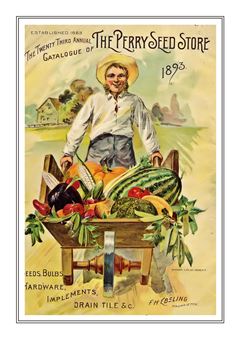 Vegetable Seed Catalogue 036