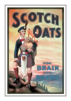 Scotch Oats 001
