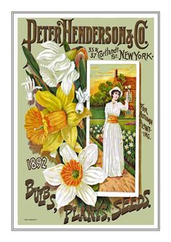 Flower Catalogue 086