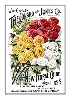 Flower Catalogue 088