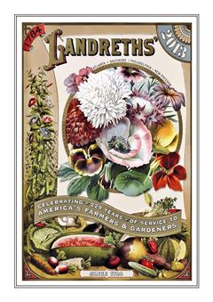 Flower Catalogue 089