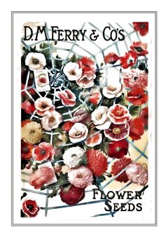 Flower Catalogue 096